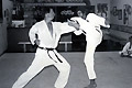 2004 Photos